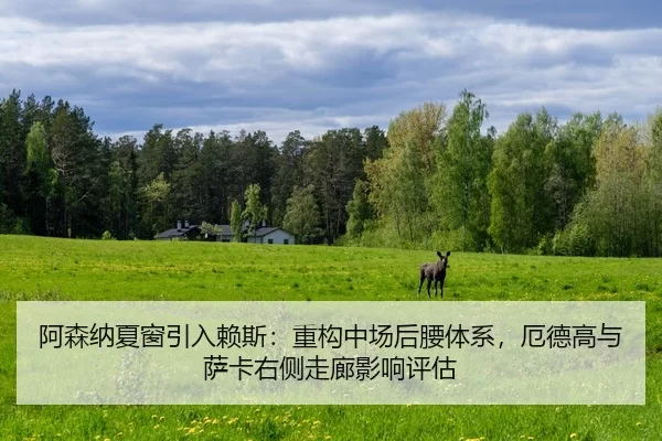 a-sen-na-xia-chuang-yin-ru-lai-si-zhong-gou-zhong-chang-hou-yao-ti-xi-e-de-gao-yu-sa-ka-you-ce-zou-lang-ying-xiang-ping-2-355.jpg